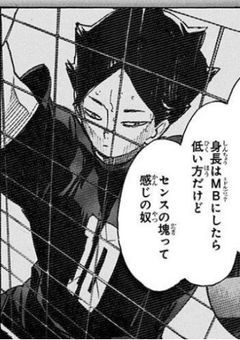 クラゲみたいな恋がしたい