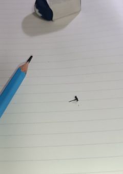 イ～ラストゥ