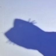 ntmg.💫さんのアイコン画像