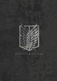 ある12人の男女グループは勇敢な兵士達です。