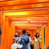 天江たい🐟さんのアイコン画像