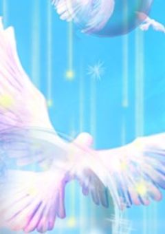 AMPTAK×COLORSは女性恐怖症です。