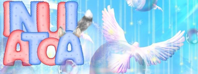 乾 明柊空＠低浮上さんの壁紙画像