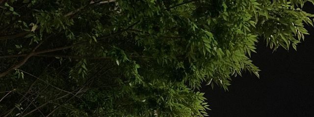 ALMASさんの壁紙画像