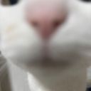 リネ