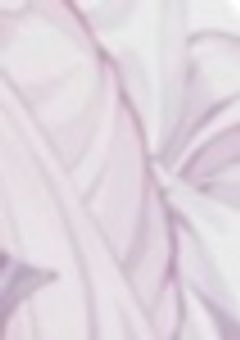 負 け 確 の 恋 __ ˖˚
