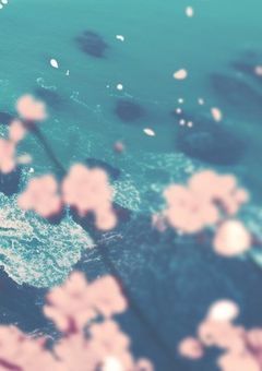 架空を見つめた華
