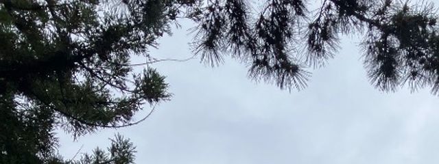 水＠活動休止中さんの壁紙画像