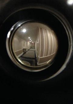肺に香るゲオスミン