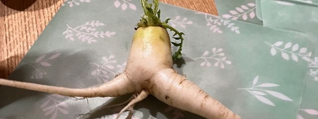 大問3さんの壁紙画像