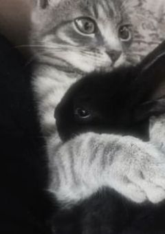 　　　💎 ￤ 𝕭𝖊𝖆𝖘𝖙 𝖂𝖔𝖗𝖑𝖉