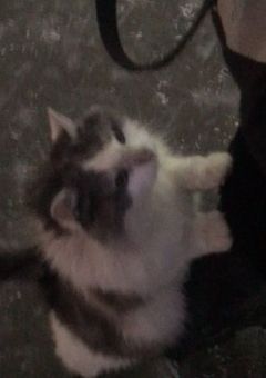 𝘽𝙧𝙤𝙩𝙝𝙚𝙧𝙡𝙮 𝙡𝙤𝙫𝙚