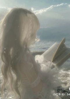 　　　　今日好き　（　韓国篇　）