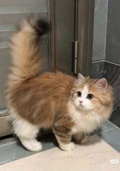 実は　、　全員腐男子　でした　…   。