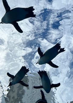 旅行紹介!(実写)