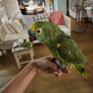 ひなたさんのアイコン画像