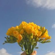 ルアさんのアイコン画像