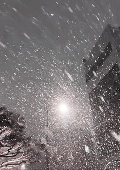 この恋は叶いますか？