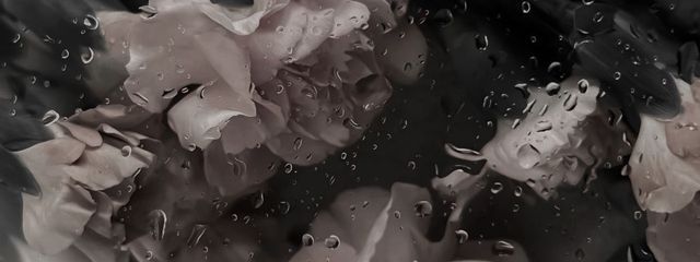 리아🦋🧭さんの壁紙画像