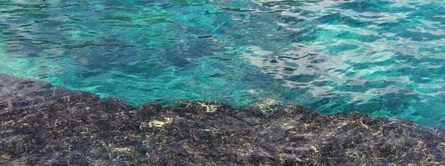 みなさんの壁紙画像