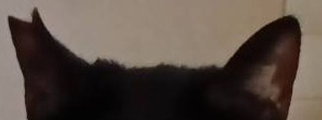 天音さんの壁紙画像