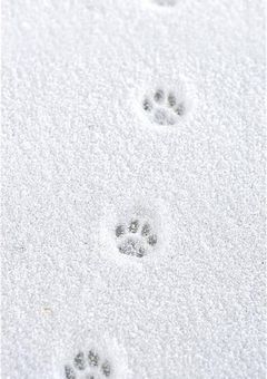 　　　　とぅばべいびー　