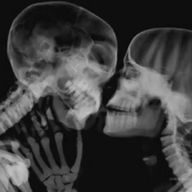 枵さんのアイコン画像