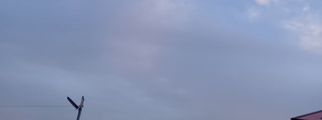 ここちさんの壁紙画像