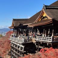 菊千代さんのアイコン画像