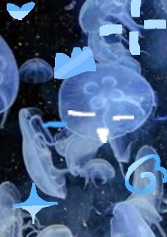 からふるめろでぃー学パロ❗️