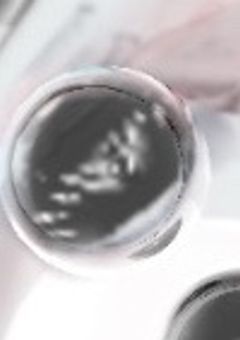 異世界へと導かれた石は何をしたら主役になれますか？