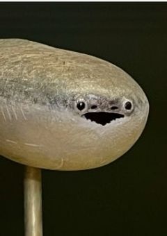 病みべや
