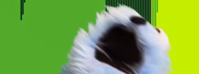 雲吉さんの壁紙画像