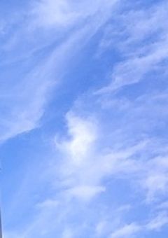 そーご ざつだん