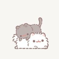 ( ᐪ꒳ᐪ )さんのアイコン画像