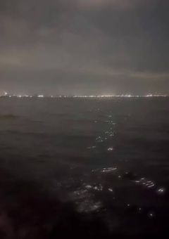 雑