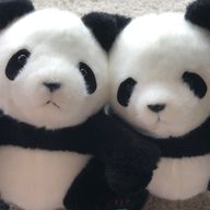 うすぐいちゃん @フォロバ100さんのアイコン画像