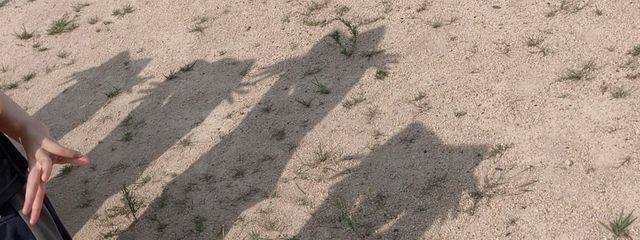 咲さんの壁紙画像