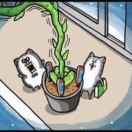 パンプキンさんのアイコン画像