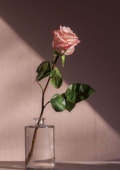 放送事故起こしてみた。∕ Njs4