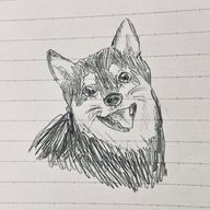 雲呑。さんのアイコン画像