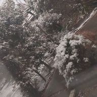 数原ミネ❤️🐱さんのアイコン画像