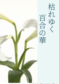 枯れゆく百合の華