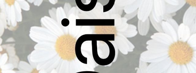 ＹＡ(五味)さんの壁紙画像