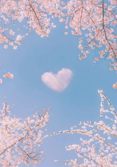  𝐖 𝐡 𝐢 𝐭 𝐞 𝐏 𝐢 𝐧 𝐤 ❀ .*ﾟ せ い ら の 配 信 部 屋 ☪ ‎