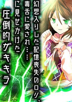 【リニューアル】幻想入りした記憶喪失のロリ、毒舌に愛され……に見せかけた圧倒的zkkr