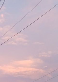 あの夏の日の記憶。