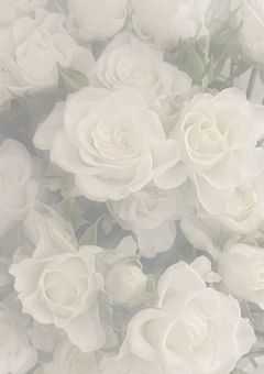 ↪︎ ₜₐₗₖ ᵣₒₒₘ .