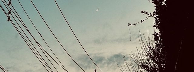 いかそーめんさんの壁紙画像