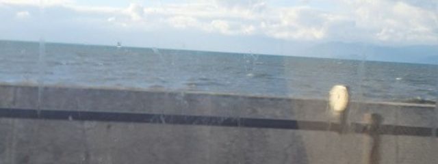 サクラさんの壁紙画像